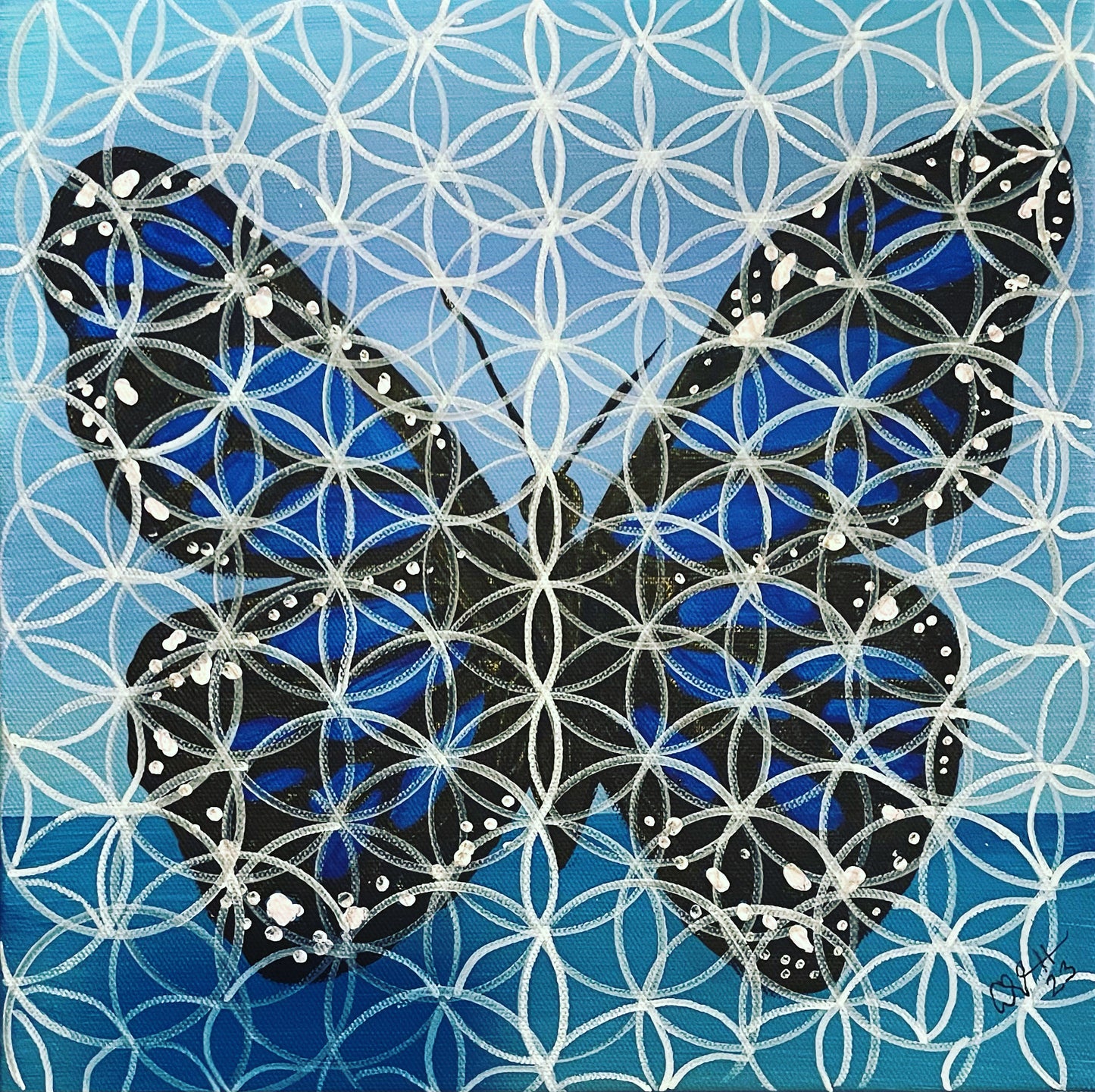 Butterfly of Life